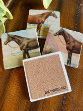Load image into Gallery viewer, Vintage Horse Illustration Stone Coasters - Assorted Horse Designs - Single
