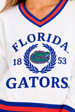 Load image into Gallery viewer, close up of Florida Heritage V-Neck Pullover showing sequins 
