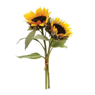 SUNFLOWER CUTTINGS 16