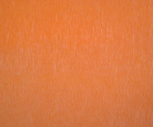 Peasant Mat Placemat 12 pack - Tangerine