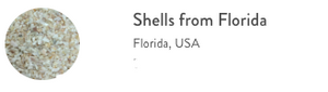 Dune Jewelry Beach Bangle - Starfish - Shells From Florida