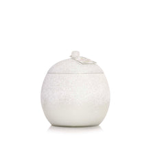 Load image into Gallery viewer, Thymes Frasier Fir Novelty Statement Candle Flocked Collection
