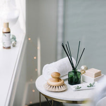 Load image into Gallery viewer, Frasier Fir Unscented Reed Refill  Green
