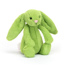 Load image into Gallery viewer, Bashful Apple Bunny - Small
