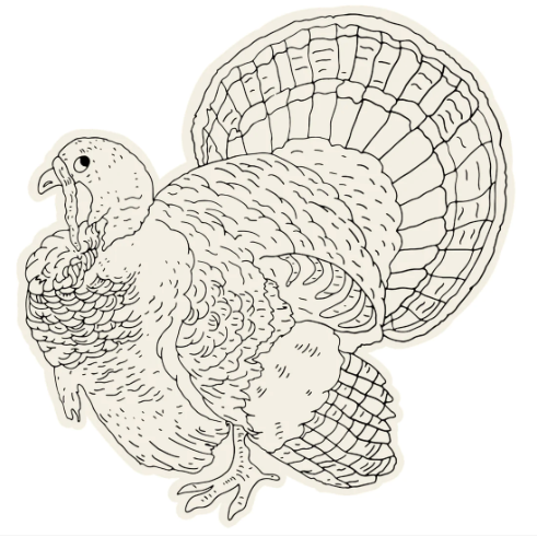 Die-Cut Coloring Turkey Paper Placemat