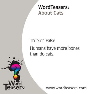 Word Teasers - About Cats