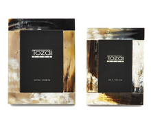 Load image into Gallery viewer, Bayard Natural Horn Frame
