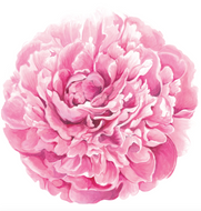 Hester & Cook Die-Cut Peony Placemats - Pack of 12