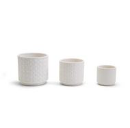 Embossed Cane Webbing Planters