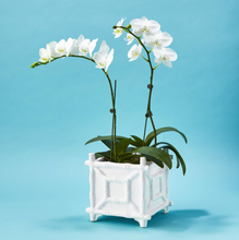 Load image into Gallery viewer, Hampton Faux Bamboo Fretwork Cachepot Planter with orchids 
