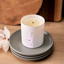 Load image into Gallery viewer, Thymes Magnolia Willow Poured Candle
