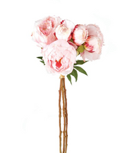Load image into Gallery viewer, Peony 21&quot; - Bundle of 3
