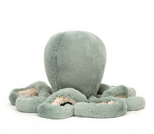 Load image into Gallery viewer, Little Odyssey Octopus
