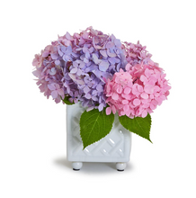 Load image into Gallery viewer, Faux Bamboo Square Flower Arranger
