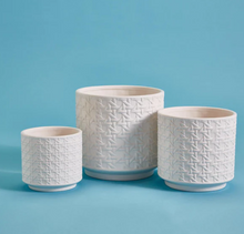 Load image into Gallery viewer, Embossed Cane Webbing Planters
