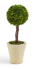 Load image into Gallery viewer, Preserved Boxwood Ball Topiary in Planter
