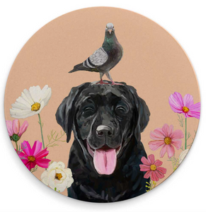 Dogs And Birds Coasters - S/4