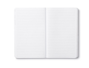 Write Now Journal - Dream Big and Dare to Fail