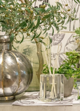 Load image into Gallery viewer, Ironwood  Home Ambiance Reed Diffuser - 500 ml
